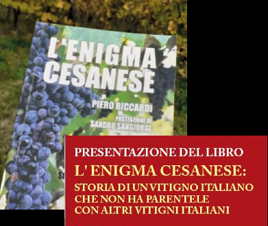 https://www.terredipregio.it/immagini_news/144/l-enigma-cesanese-la-storia-di-un-vitigno-144-330.png