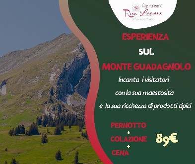 https://www.terredipregio.it/immagini_news/96/esperienza-sul-monte-guadagnolo-96-330.jpg